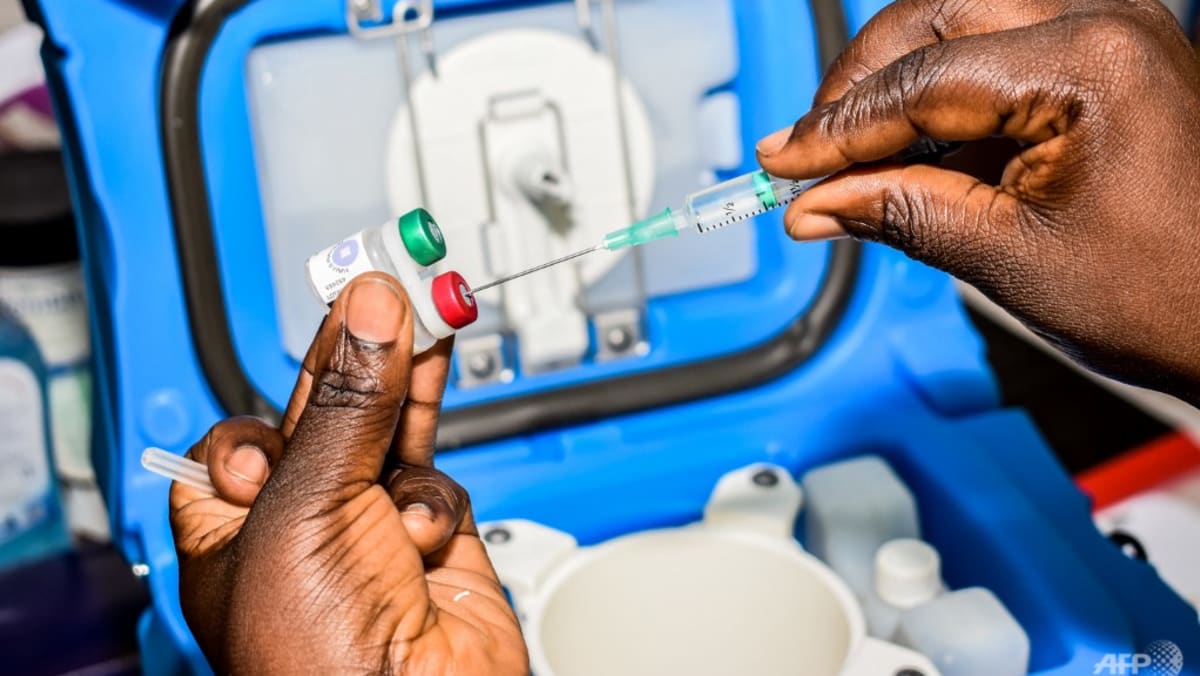 La OMS respalda el lanzamiento de la vacuna contra la malaria para los niños de África en un gran avance