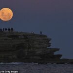 Los residentes ven la 'Super Flower Blood Moon' en Bondi Beach en Sydney en mayo de 2026