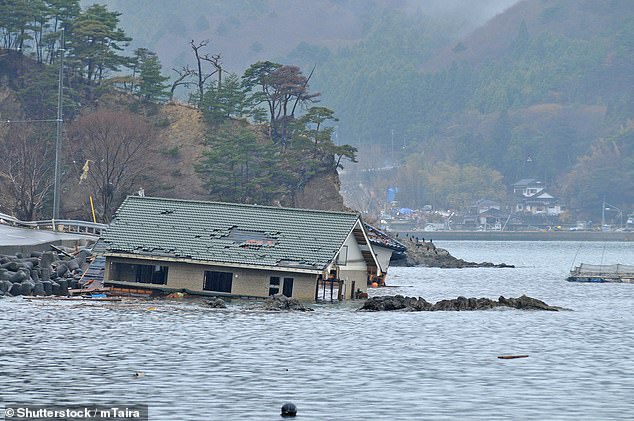 El uso de datos de salud y encuestas sobre personas que viven en las áreas más afectadas por el tsunami de 2011 en Japón (en la foto) les dio a los expertos de la Universidad de Harvard en Cambridge, Massachusetts, una idea del vínculo entre el deterioro cognitivo y los desastres naturales.