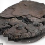 Los arqueólogos descubrieron un pastel que se convirtió en 'muy carbonizado y ennegrecido' después de que fuera golpeado por un ataque aéreo británico sobre Alemania durante la Segunda Guerra Mundial.