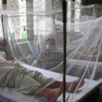'Un viaje increíble': un estudio ofrece esperanza para el tratamiento del dengue