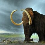 ¿Podemos traer de vuelta al mamut lanudo?