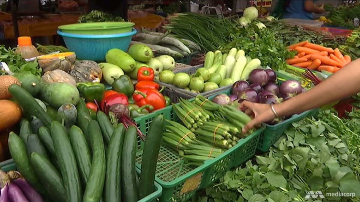 Aumento de precios de las verduras en Malasia debido al clima, la escasez de mano de obra y los costos de producción, dicen los agricultores