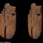 Un colgante de marfil de forma ovalada de 41.500 años de antigüedad hecho de hueso de mamut (en la foto) representa el primer ejemplo conocido de joyería ornamentada hecha por humanos en Eurasia, afirma un nuevo estudio.