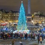 Desde 1947, el árbol de 20 metros de altura en Trafalgar Square de Londres (en la foto de 2017) ha sido donado al Reino Unido como agradecimiento de los noruegos por el apoyo británico durante la Segunda Guerra Mundial.
