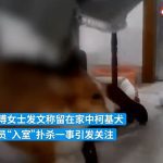 Los trabajadores de la salud chinos con trajes de materiales peligrosos han ejecutado un corgi en nombre de los protocolos de la pandemia mientras el dueño del perro estaba llevando a cabo la cuarentena de Covid.