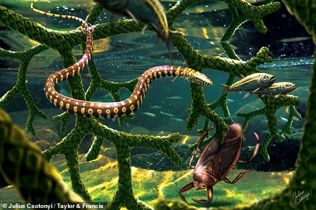 Una serpiente de cuatro patas descubierta en 2015 no es en realidad una serpiente, sino un lagarto marino de cuerpo largo