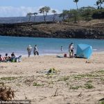 Se cree que algunos productos químicos en la pantalla están matando los arrecifes de coral de Hawai y un nuevo proyecto de ley aprobado por los funcionarios de Maui prohíbe la venta de tales protectores para la piel.  En la imagen, el área recreativa estatal de la playa Hapuna de Maui