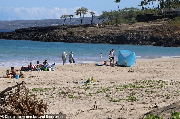 Se cree que algunos productos químicos en la pantalla están matando los arrecifes de coral de Hawai y un nuevo proyecto de ley aprobado por los funcionarios de Maui prohíbe la venta de tales protectores para la piel.  En la imagen, el área recreativa estatal de la playa Hapuna de Maui