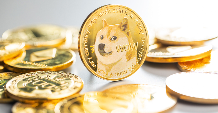 5 razones por las que deberían comprar Dogecoin hoy para obtener ganancias en 2022 - Cripto noticias del Mundo