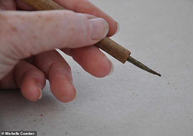 La pluma de tinta más antigua conocida de Irlanda (en la foto), que luce un cuerpo de hueso hueco y una punta de aleación de cobre, se ha encontrado durante las excavaciones de un cashel, o fuerte de piedra, en el condado de Clare.