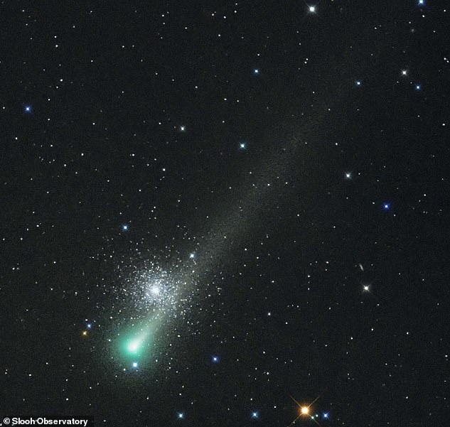 El cometa Leonard, recientemente descubierto (en la foto), iluminará el cielo este mes, cuando pase por la Tierra por primera vez en 70.000 años.