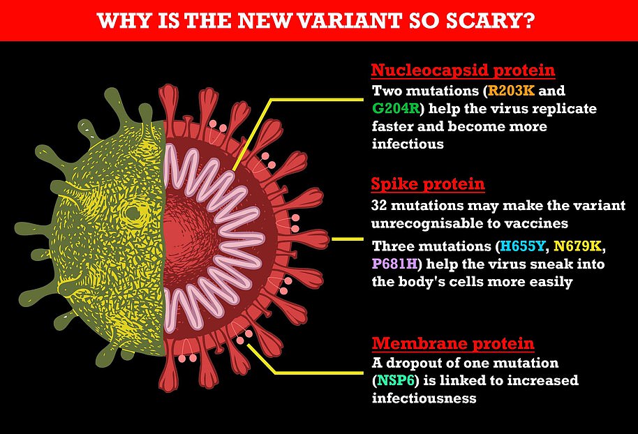 La variante de Botswana tiene alrededor de 50 mutaciones y más de 30 de ellas están en la proteína de pico.  La cosecha actual de vacunas hace que el cuerpo reconozca la versión de la proteína de pico de versiones anteriores del virus.  Pero las mutaciones pueden hacer que la proteína de pico se vea tan diferente que el sistema inmunológico del cuerpo tenga dificultades para reconocerla y combatirla.  Y tres de las mutaciones de pico (H665Y, N679K, P681H) lo ayudan a ingresar a las células del cuerpo con mayor facilidad.  Mientras tanto, le falta una proteína de membrana (NSP6) que se observó en iteraciones anteriores del virus, que los expertos creen que podría hacerlo más infeccioso.  Y tiene dos mutaciones (R203K y G204R) que han estado presentes en todas las variantes de interés hasta ahora y se han relacionado con la infecciosidad.