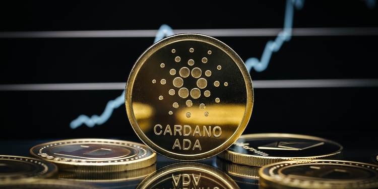 Frederik Gregaard, director ejecutivo de la Fundación Cardano, habla del crecimiento de Cardano en 2021