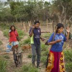 Gobierno de Paraguay honra fallo de la CIDH a favor de pueblos indígenas