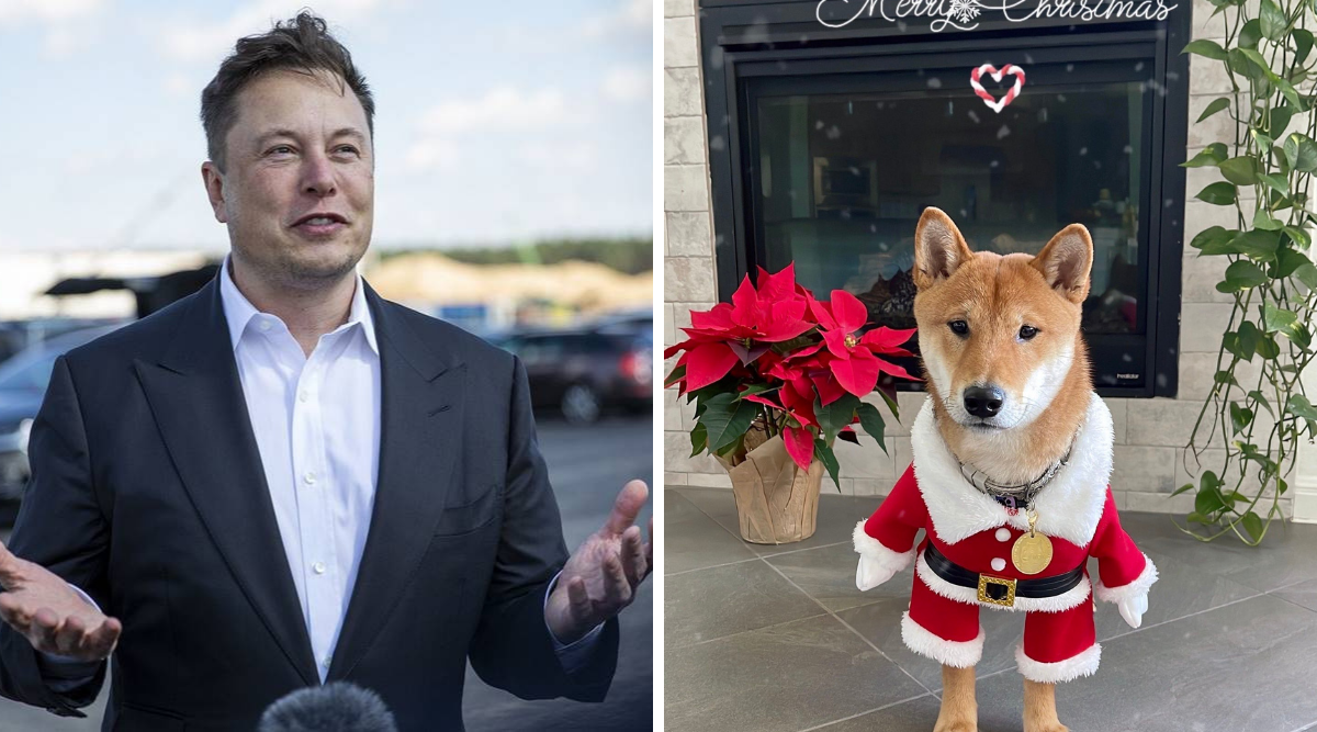 La criptomoneda Santa Floki aumenta un 4000 por ciento después del tweet de Elon Musk sobre su perro