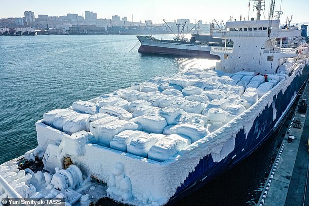 Se ve un carguero Sun Rio llevando Toyotas y Hondas de Japón cubiertos con una gruesa capa de agua de mar congelada a su llegada al puerto de Vladivostok el martes.
