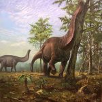 Los saurópodos (como el Brontosaurio que se muestra) prefirieron vivir en regiones más cálidas de la Tierra, lo que sugiere que pueden haber tenido una fisiología diferente a la de otros dinosaurios, según un estudio.