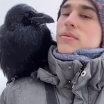 El cuervo inteligente Gosha realiza algunos trucos impresionantes, un video compartido por Alexander Sergeevich en Lysva, Perm Krai, Rusia, tomado el 28 de diciembre.