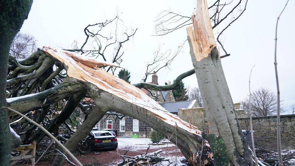 Storm Arwen: 30.000 personas siguen sin electricidad en el Reino Unido