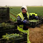 Un año desde Brexit: ¿Qué tan grave es la escasez de mano de obra en el Reino Unido ahora?
