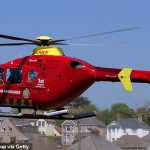 Los jefes de aviación han instado a los usuarios de drones a tener cuidado al volar.  A principios de este año, una ambulancia aérea en Leicestershire evitó una colisión en el aire con un dron por solo 30 pies.  En la imagen: despega una ambulancia aérea de Cornualles