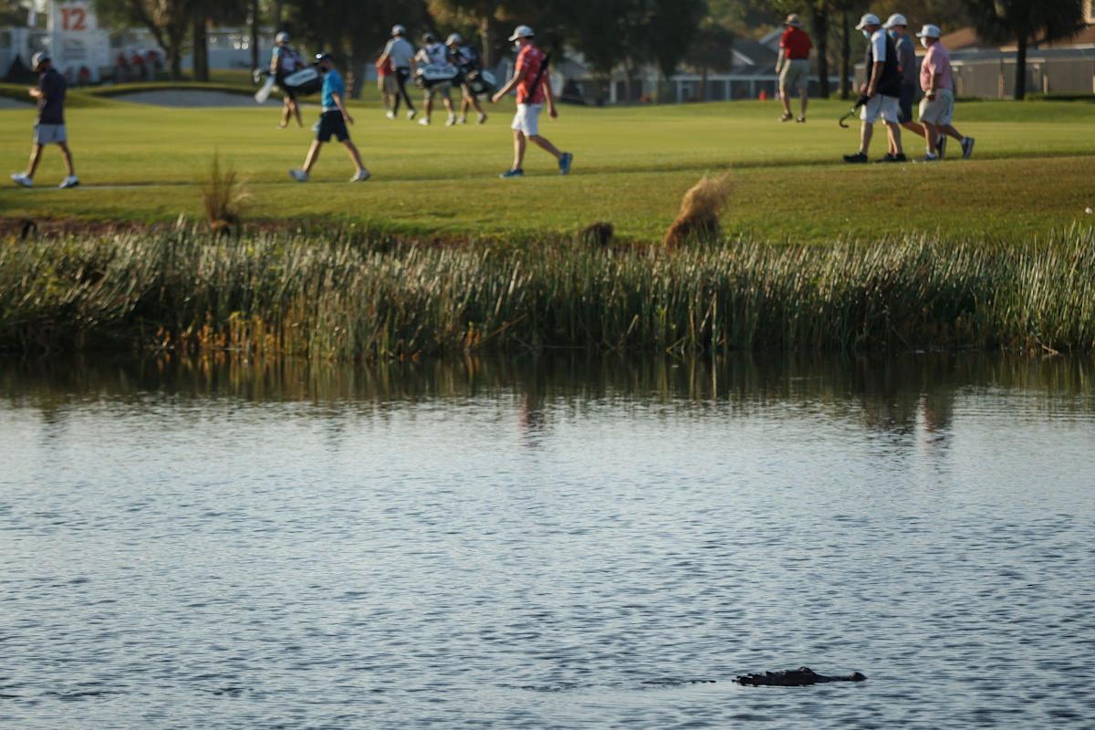 ¡Chapoteo!  Los jugadores del PGA Tour son los que más tiran al agua en estos cinco campos de golf