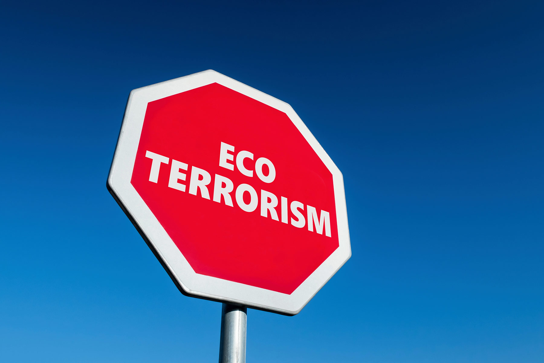 Elizabeth Dykstra-McCarthy, eco-terrorism, ecotage, climate change, climate activism, terrorism definitions, left-wing terrorism, attacks on nuclear facilities, Extinction Rebellion, environmental extremism