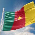 Cameroon's national flag. (iStock).