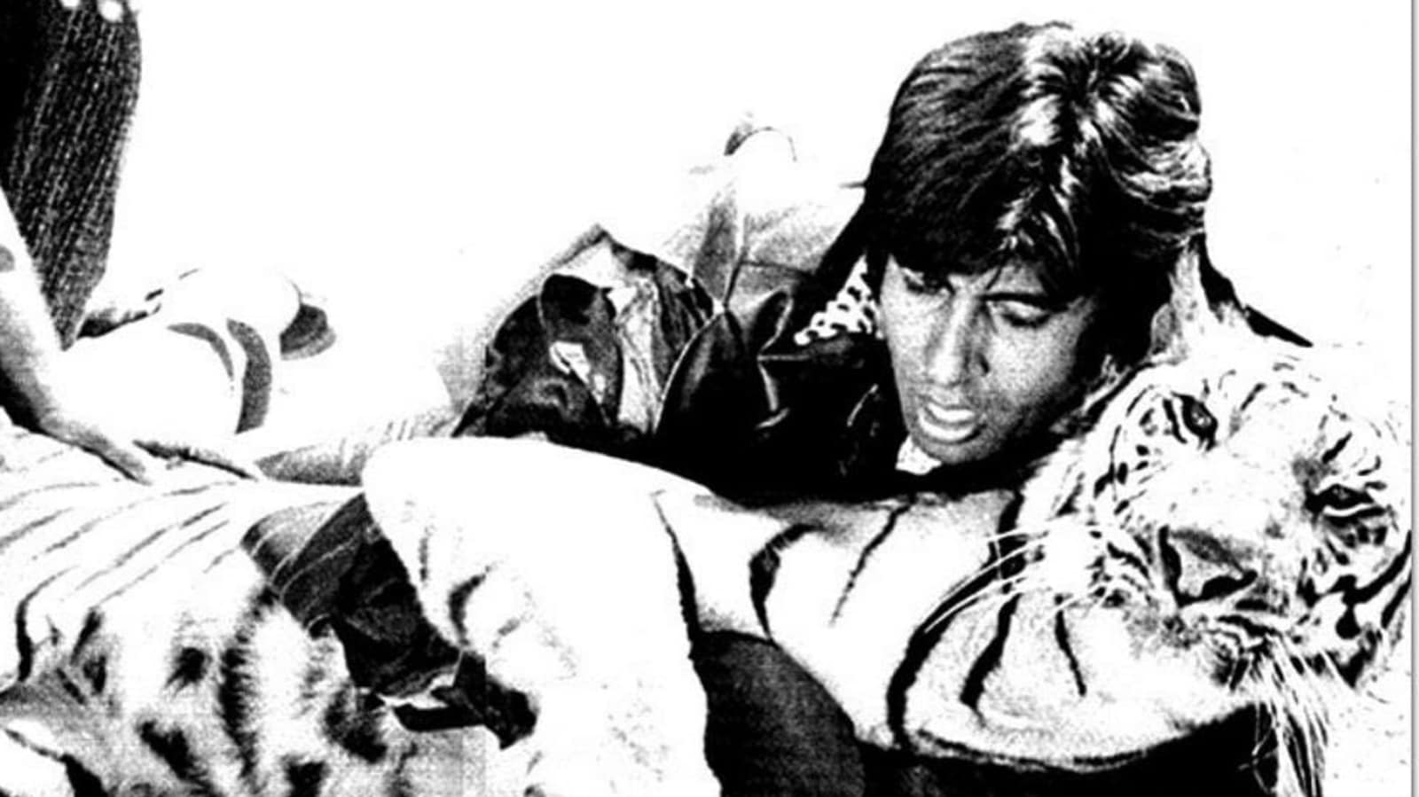 Amitabh Bachchan recuerda 'luchar contra un tigre vivo para la película' mientras esperaba la noticia del nacimiento de Abhishek Bachchan