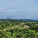 Assasinación de la Condena de la ONU del Defensor Ambiental Hondureño