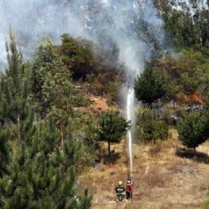Chile declara alerta roja por incendios en dos regiones