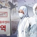 Corea del Sur sacrifica pollos por brotes de dos gripe aviar H5N1 más