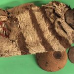 ancient DNA-Mummified man