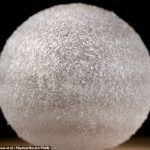 Aquí hay uno para el Libro Guinness de los Récords: investigadores de la Universidad de Lille crearon la burbuja más duradera del mundo (en la foto) que mantuvo su forma durante 465 días.