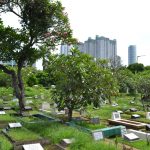 'Hermoso y culturalmente valioso': la comunidad de cementerios de Indonesia busca la historia a través de cementerios antiguos