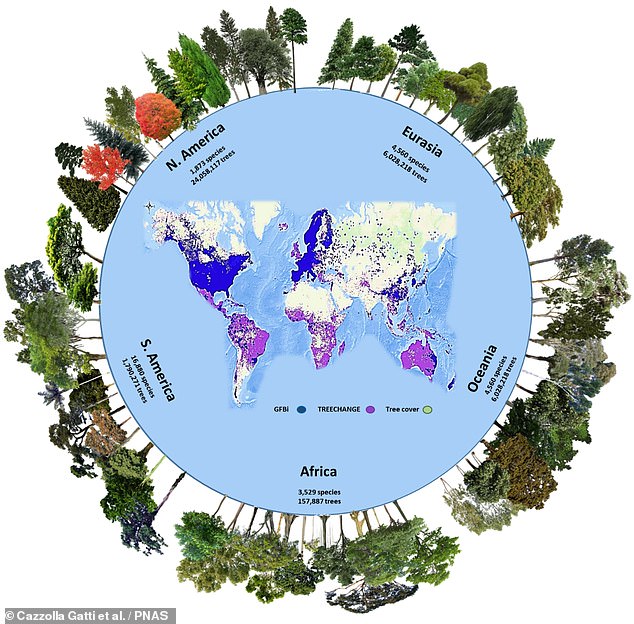 La Tierra Podría Tener Hasta 73.000 Especies De árboles