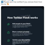 Flock aún no ha sido confirmado por Twitter, pero el desarrollador móvil Alessandro Paluzzi ha compartido supuestas capturas de pantalla de cómo se vería.