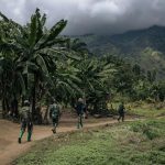 La milicia congoleña brinda refugio a los desplazados que huyen de las masacres |  The Guardian Nigeria Noticias