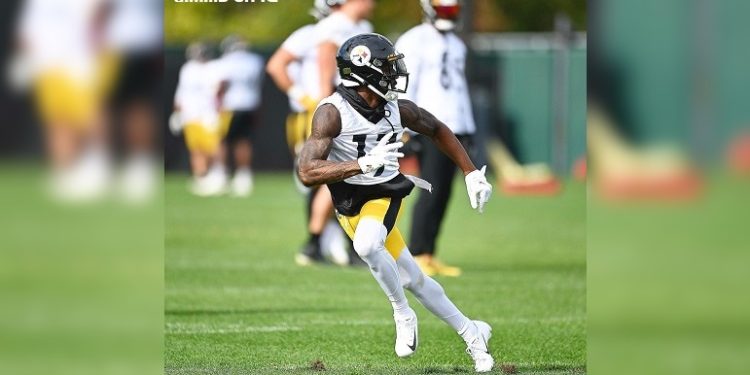 Steelers sign WR Anthony Miller to reserve/future contract - Steelers Depot