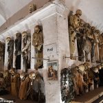 El primer estudio exhaustivo de niños momificados en las famosas catacumbas capuchinas de Sicilia está siendo dirigido por la Universidad de Staffordshire.