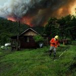 Los incendios forestales arrasan más de 300.000 hectáreas de bosques en América del Sur