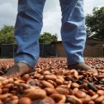 Nestlé dará dinero a los productores de cacao para mantener a los niños en la escuela