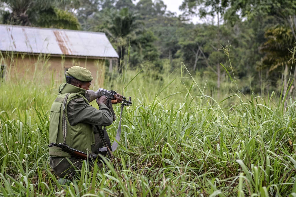 Once rebeldes de la República Democrática del Congo asesinados en el parque de Virunga: ejército