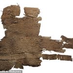 La antigua armadura de cobertizo de cuero con escamas de pez se ha fechado en el período comprendido entre 786 y 543 a.