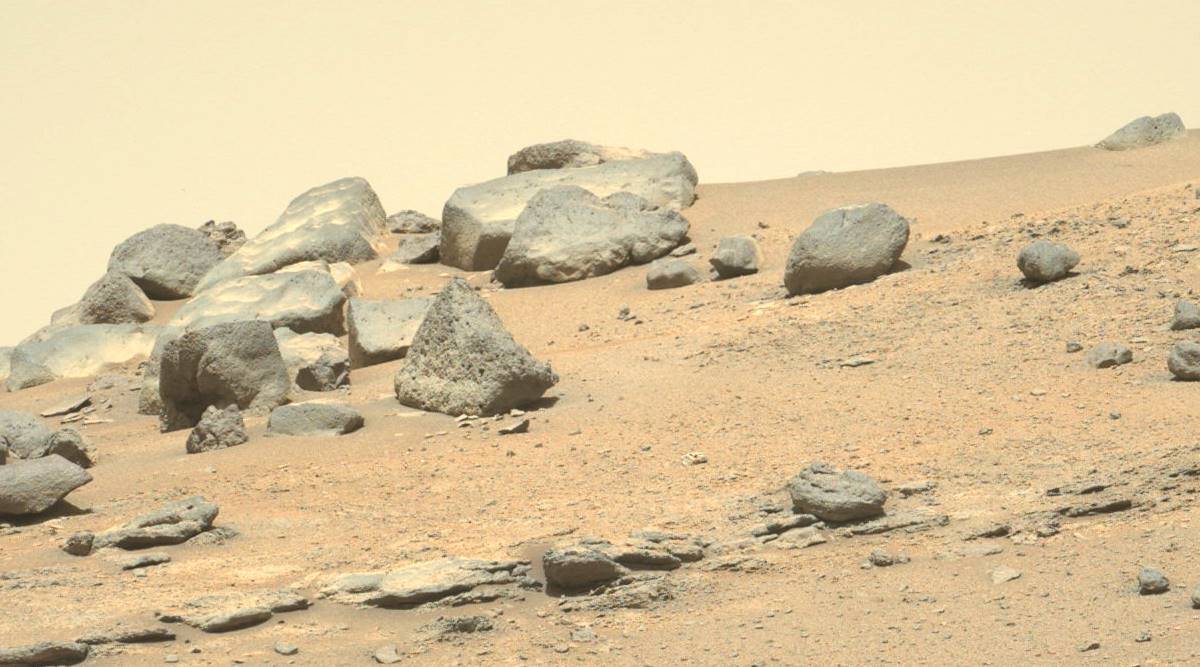 NASA's Mars Perseverance rover image