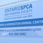 Tuberías de agua reventadas, refugio de animales sin fuerza de calor en Napanee, Ontario.  para cerrar puertas temporalmente - Kingston