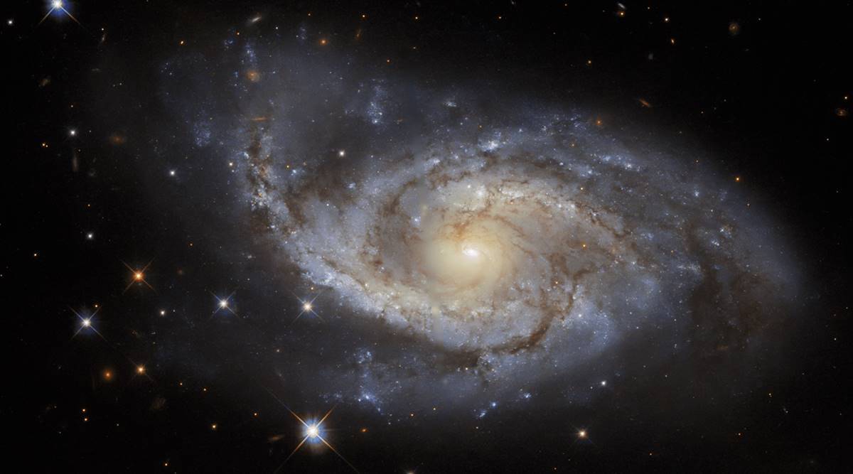 The spiral arms of the galaxy NGC 3318