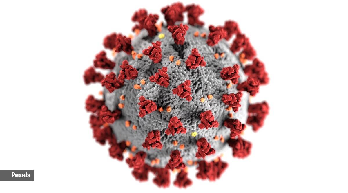 coronavirus