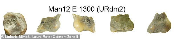 La evidencia más temprana de humanos modernos en Europa occidental se encontró en una cueva francesa en forma de muela superior de un niño (en la foto, desde varios ángulos) que data de hace 54,000 años.